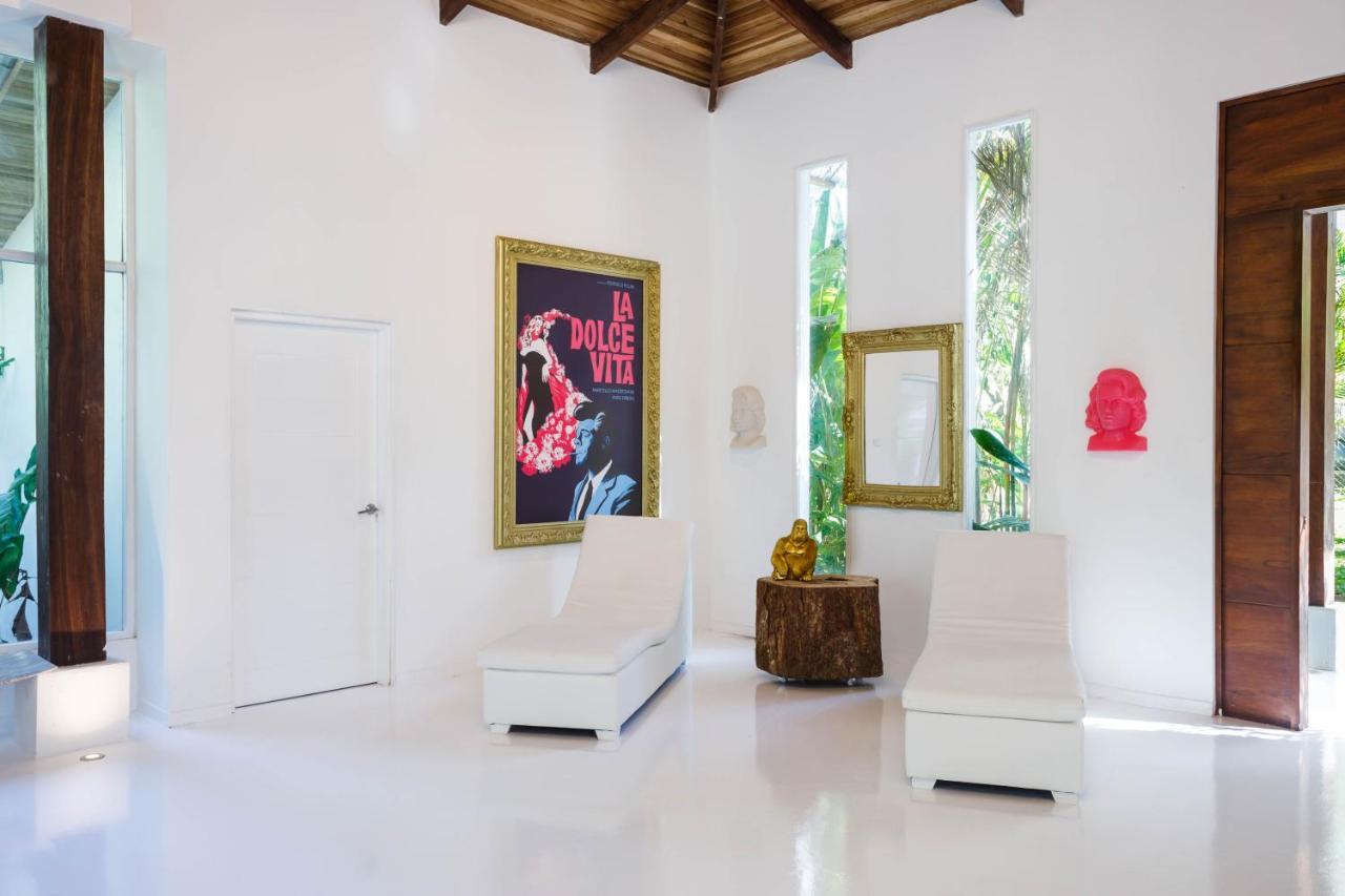 Gigi Brown Villa Paparazzi Beachfront Puerto Viejo de Talamanca 外观 照片