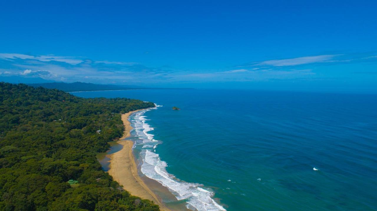Gigi Brown Villa Paparazzi Beachfront Puerto Viejo de Talamanca 外观 照片