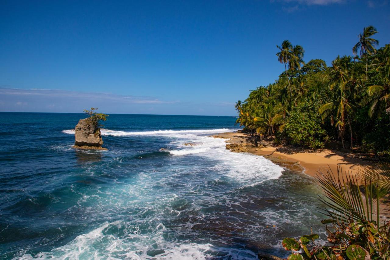 Gigi Brown Villa Paparazzi Beachfront Puerto Viejo de Talamanca 外观 照片