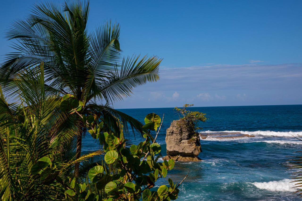 Gigi Brown Villa Paparazzi Beachfront Puerto Viejo de Talamanca 外观 照片